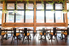 &TREE アンドツリー 千葉木更津（うまくたの里）店舗経営